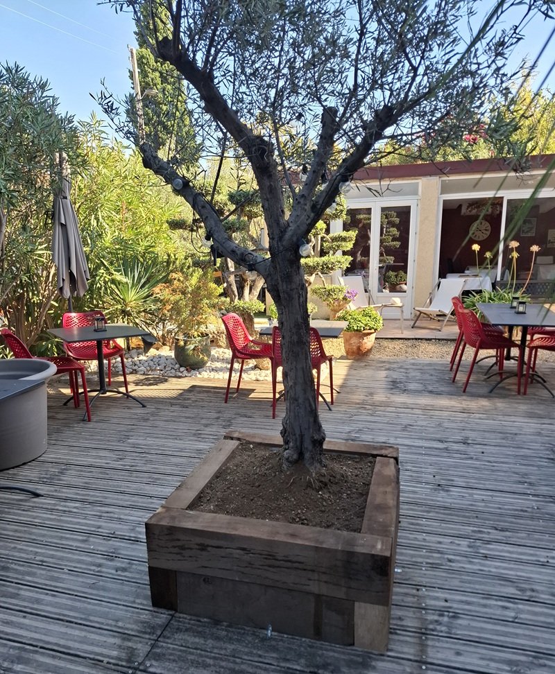 Création d'une jardinière en traverses paysagères à Bandol autour d'un olivier