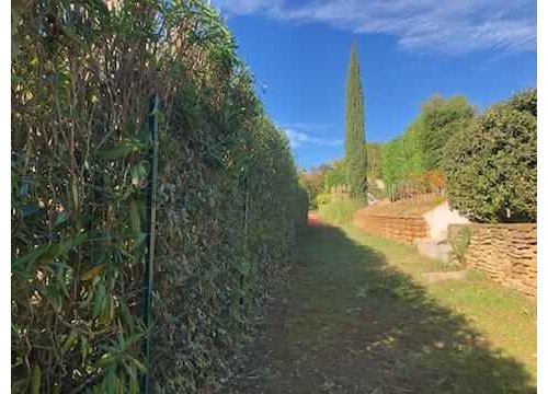 Taille de haies à La Cadière d'Azur