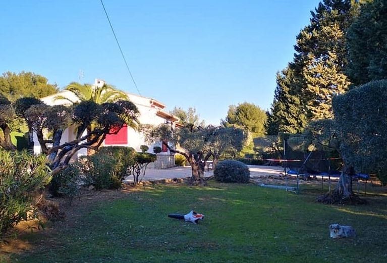 Rognage et extension souche La Cadière-d'Azur