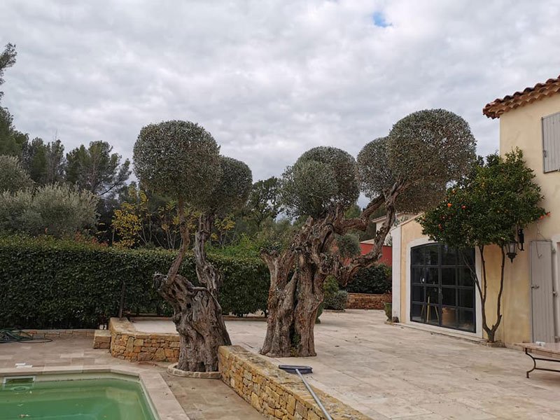Création paysagiste pour petit espace Saint-Cyr-sur-Mer