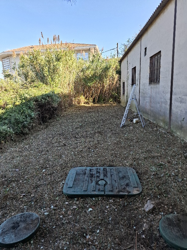 Debroussaillage d'un roncier